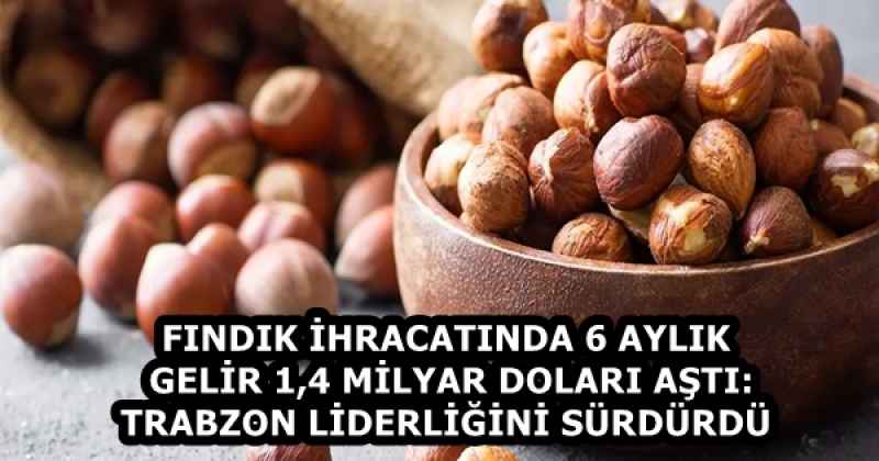 FINDIK İHRACATINDA 6 AYLIK GELİR 1,4 MİLYAR DOLARI AŞTI: TRABZON LİDERLİĞİNİ SÜRDÜRDÜ