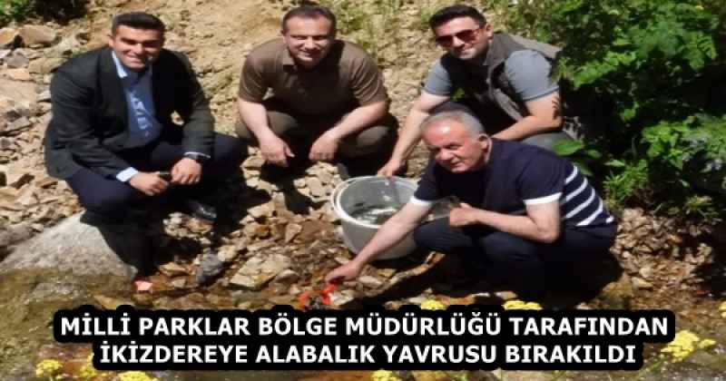 MİLLİ PARKLAR BÖLGE MÜDÜRLÜĞÜ TARAFINDAN İKİZDEREYE ALABALIK YAVRUSU BIRAKILDI
