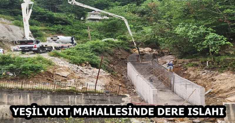 YEŞİLYURT MAHALLESİNDE DERE ISLAHI