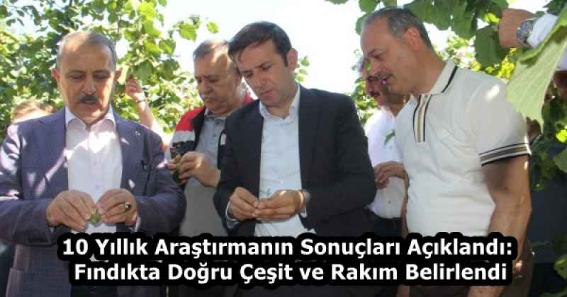 10 Yıllık Araştırmanın Sonuçları Açıklandı: Fındıkta Doğru Çeşit ve Rakım Belirlendi