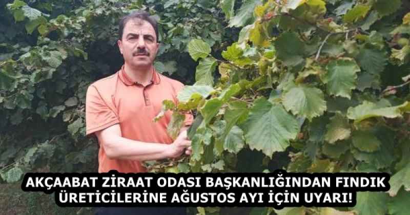 AKÇAABAT ZİRAAT ODASI BAŞKANLIĞINDAN FINDIK ÜRETİCİLERİNE AĞUSTOS AYI İÇİN UYARI!