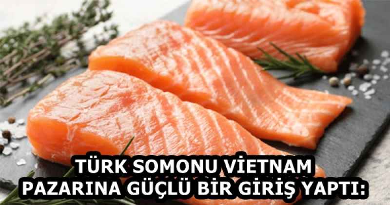 TÜRK SOMONU VİETNAM PAZARINA GÜÇLÜ BİR GİRİŞ YAPTI: