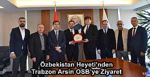 Özbekistan Heyeti’nden Trabzon Arsin OSB’ye Ziyaret