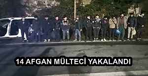 14 AFGAN MÜLTECİ YAKALANDI
