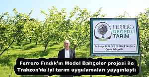 Ferrero Fındık’ın Model Bahçeler projesi ile Trabzon’da iyi tarım uygulamaları yaygınlaştı