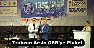 Trabzon Arsin OSBye Plaket