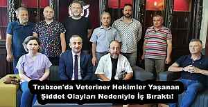 Trabzon'da Veteriner Hekimler Yaşanan Şiddet Olayları Nedeniyle İş Bıraktı!