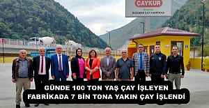 GÜNDE 100 TON YAŞ ÇAY İŞLEYEN...
