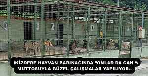 İKİZDERE HAYVAN BARINAĞINDA “ONLAR DA CAN “MUTTOSUYLA GÜZEL ÇALIŞMALAR YAPILIYOR.. 