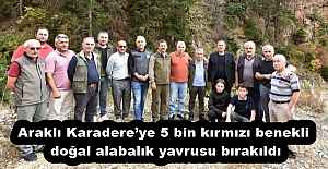 Araklı Karadere’ye 5 bin kırmızı benekli doğal alabalık yavrusu bırakıldı