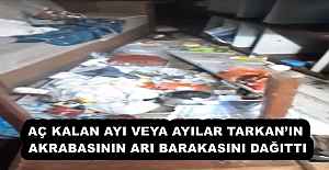 AÇ KALAN AYI VEYA AYILAR TARKANIN...