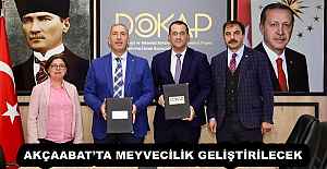 AKÇAABAT’TA MEYVECİLİK GELİŞTİRİLECEK