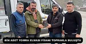 BİN ADET YOMRA ELMASI FİDANI TOPRAKLA BULUŞTU
