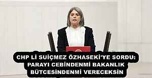 CHP Lİ SUİÇMEZ ÖZHASEKİ'YE SORDU: PARAYI CEBİNDENMİ BAKANLIK BÜTCESİNDENMİ VERECEKSİN