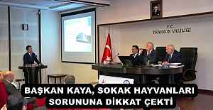 BAŞKAN KAYA, SOKAK HAYVANLARI SORUNUNA DİKKAT ÇEKTİ