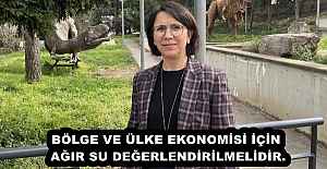 BÖLGE VE ÜLKE EKONOMİSİ İÇİN...