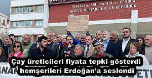 Çay üreticileri fiyata tepki gösterdi hemşerileri Erdoğana seslendi