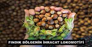FINDIK BÖLGENİN İHRACAT LOKOMOTİFİ