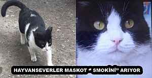 HAYVANSEVERLER MASKOT ‘ SMOKİNİ...