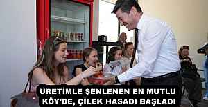 ÜRETİMLE ŞENLENEN EN MUTLU KÖY’DE, ÇİLEK HASADI BAŞLADI