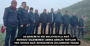 20.ŞENLİKTE SİS DOLAYISIYLA DAĞ HOROZU İZLENEMEDİ  ADINA ŞENLİK YAPILAN TEKHOROZ DAĞ HOROZUNUN AVLANMASI YASAK