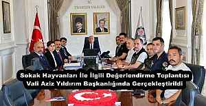 Sokak Hayvanları İle İlgili Değerlendirme...