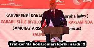 Trabzon'da kokarcaları korku sardı !!!!!!!!!