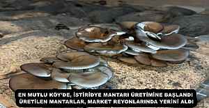 EN MUTLU KÖY’DE, İSTİRİDYE MANTARI ÜRETİMİNE BAŞLANDI ÜRETİLEN MANTARLAR, MARKET REYONLARINDA YERİNİ ALDI