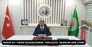 KASIM AYI FINDIK BAHÇELERİNDE YAPILACAK...