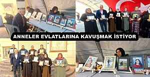 ANNELER EVLATLARINA KAVUŞMAK İSTİYOR 