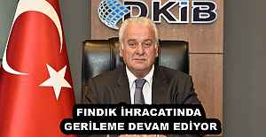 FINDIK İHRACATINDA GERİLEME DEVAM EDİYOR