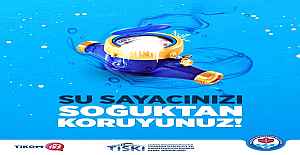 SAYAÇ DONMALARINA DİKKAT