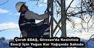 Çoruh EDAŞ, Giresun’da Kesintisiz Enerji İçin Yoğun Kar Yağışında Sahada