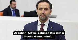 Ardahan–Artvin Yolunda Kış Çilesi Meclis Gündeminde..