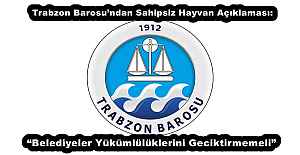 Trabzon Barosu’ndan Sahipsiz Hayvan Açıklaması: “Belediyeler Yükümlülüklerini Geciktirmemeli”