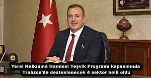 Yerel Kalkınma Hamlesi Teşvik Programı...