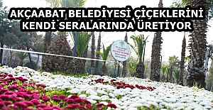 AKÇAABAT BELEDİYESİ ÇİÇEKLERİNİ KENDİ SERALARINDA ÜRETİYOR