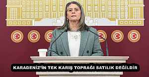 KARADENİZ’İN TEK KARIŞ TOPRAĞI SATILIK DEĞİLDİR