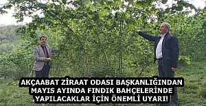 AKÇAABAT ZİRAAT ODASI BAŞKANLIĞINDAN MAYIS AYINDA FINDIK BAHÇELERİNDE YAPILACAKLAR İÇİN ÖNEMLİ UYARI!