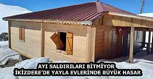 AYI SALDIRILARI BİTMİYOR  İKİZDERE’DE YAYLA EVLERİNDE BÜYÜK HASAR