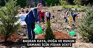 BAŞKAN KAYA, DOĞA VE HUKUK ORMANI...