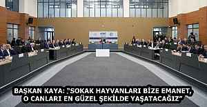 BAŞKAN KAYA: “SOKAK HAYVANLARI BİZE EMANET, O CANLARI EN GÜZEL ŞEKİLDE YAŞATACAĞIZ”