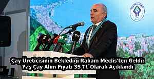 Çay Üreticisinin Beklediği Rakam Meclis’ten Geldi: Yaş Çay Alım Fiyatı 35 TL Olarak Açıklandı