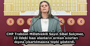 CHP Trabzon Milletvekili Sayın Sibel Suiçmez,  23 ildeki bazı alanların orman sınırları dışına çıkartılmasına tepki gösterdi. 