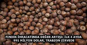 FINDIK İHRACATINDA DEĞER ARTIŞI: İLK 4 AYDA 991 MİLYON DOLAR, TRABZON ZİRVEDE
