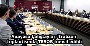 Anayasa Çalıştayları Trabzon toplantısında TESOB temsil edildi