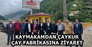 KAYMAKAMDAN ÇAYKUR ÇAY FABRİKASINA...
