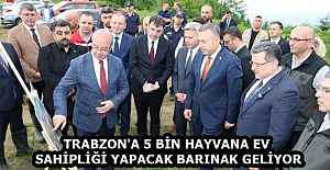 TRABZON'A 5 BİN HAYVANA EV SAHİPLİĞİ YAPACAK BARINAK GELİYOR