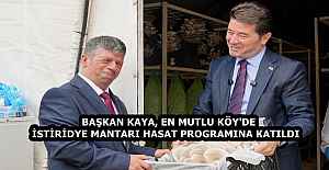BAŞKAN KAYA, EN MUTLU KÖY'DE İSTİRİDYE MANTARI HASAT PROGRAMINA KATILDI  