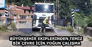 BÜYÜKŞEHİR EKİPLERİNDEN TEMİZ BİR ÇEVRE İÇİN YOĞUN ÇALIŞMA 
